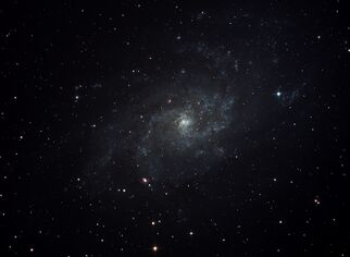 M 33