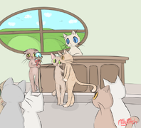 Gerichtsszene: Alani, Leotie, Ydre müssen sich verantworten(Milly Mitch)©