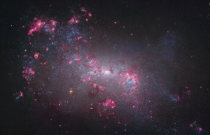 NGC 4449 Hubble.jpg