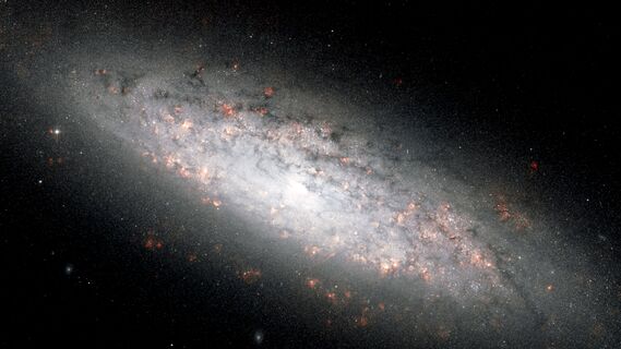 NGC 6503.jpg