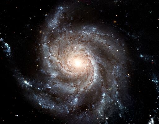 M 101.jpg