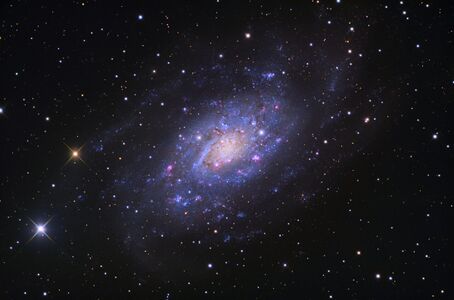 NGC 2403 im   Sternbild der   Giraffe