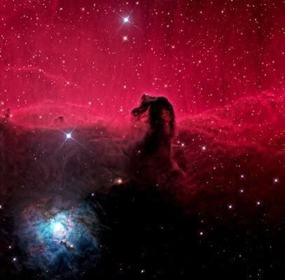 Pferdekopfnebel im Sternbild Orion