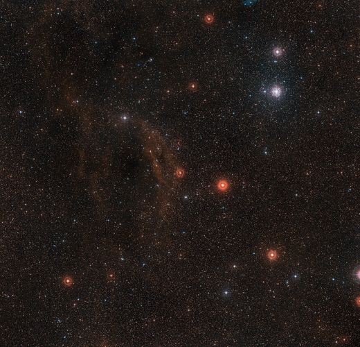 Canis Major 2.jpg