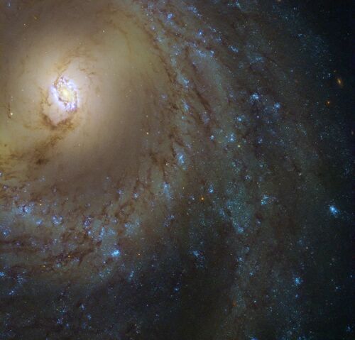 M 95/ NGC 3351