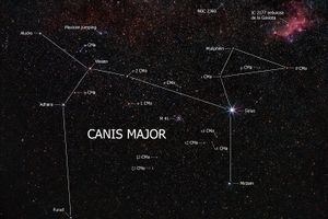 Canis Major.jpg