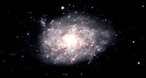 NGC 7793.jpg